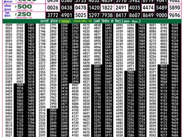 Dear Lottery Chart 2024