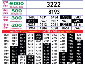 Dear Lottery Chart 2024