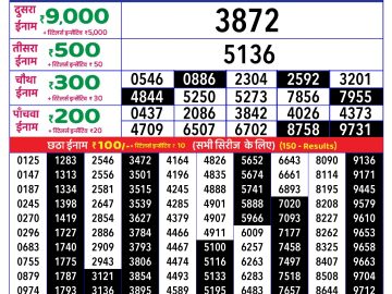 Dear Lottery Chart 2024
