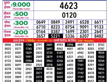 Dear Lottery Chart 2024