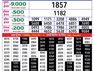 Dear Lottery Chart 2024