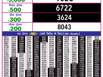 Dear Lottery Chart 2024