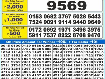 Dear Lottery Chart 2024
