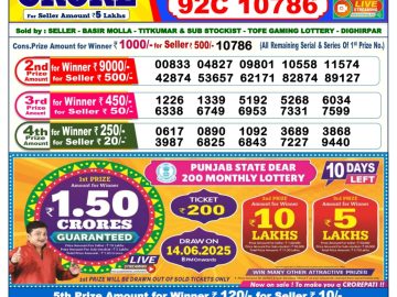 Dear Lottery Chart 2024