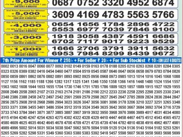 Dear Lottery Chart 2024