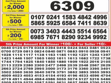 Dear Lottery Chart 2024
