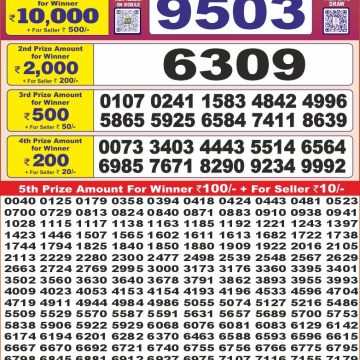 Dear Lottery Chart 2024