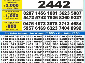 Dear Lottery Chart 2024