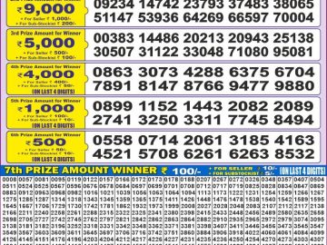 Dear Lottery Chart 2024