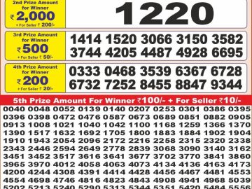 Dear Lottery Chart 2024