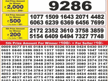 Dear Lottery Chart 2024