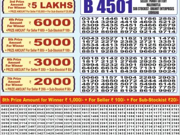 Dear Lottery Chart 2024