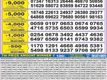 Dear Lottery Chart 2024