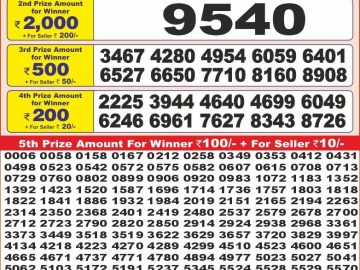 Dear Lottery Chart 2024