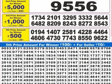 Dear Lottery Chart 2024