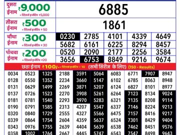 Dear Lottery Chart 2024