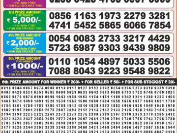 Dear Lottery Chart 2024