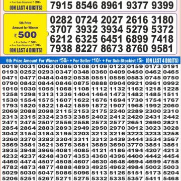 Dear Lottery Chart 2024