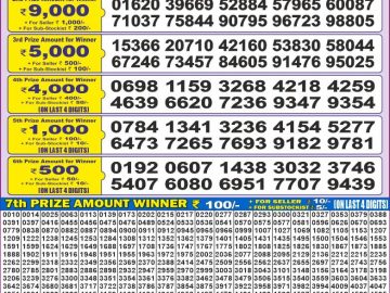 Dear Lottery Chart 2024
