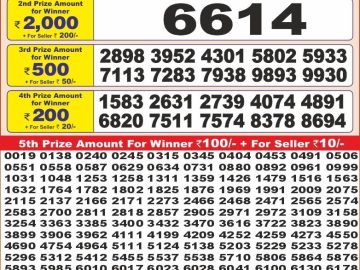 Dear Lottery Chart 2024