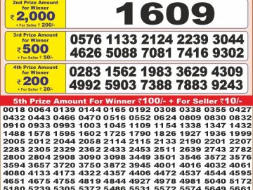 Dear Lottery Chart 2024