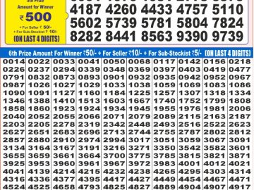 Dear Lottery Chart 2024
