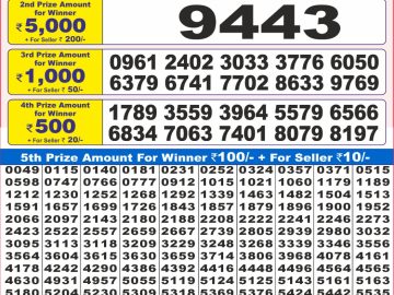 Dear Lottery Chart 2024