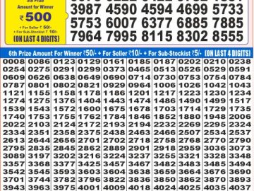 Dear Lottery Chart 2024