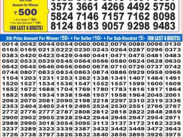 Dear Lottery Chart 2024