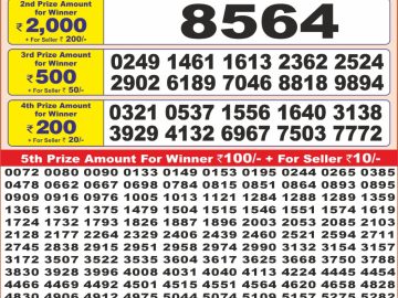 Dear Lottery Chart 2024