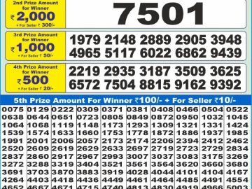 Dear Lottery Chart 2024