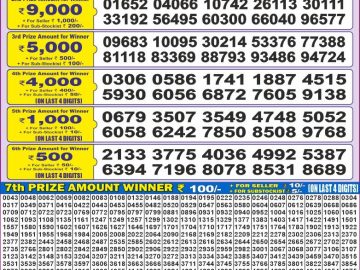Dear Lottery Chart 2024