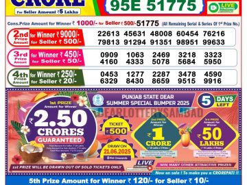 Dear Lottery Chart 2024