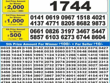 Dear Lottery Chart 2024