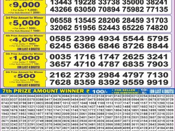 Dear Lottery Chart 2024