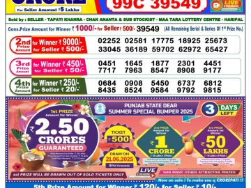 Dear Lottery Chart 2024