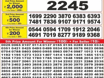 Dear Lottery Chart 2024