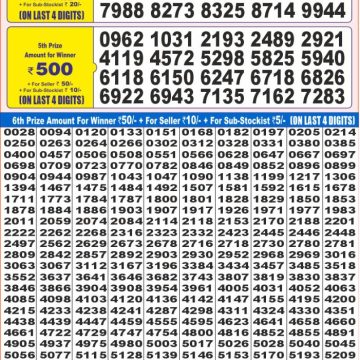 Dear Lottery Chart 2024