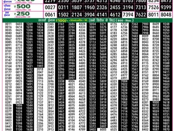 Dear Lottery Chart 2024