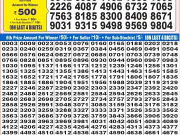 Dear Lottery Chart 2024
