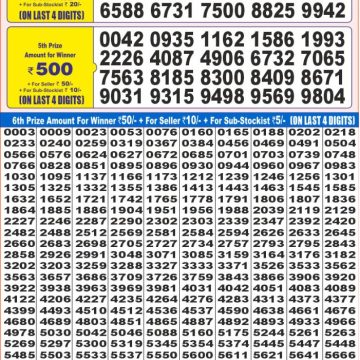 Dear Lottery Chart 2024