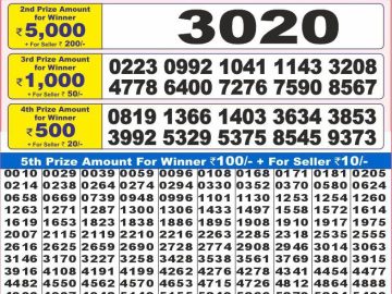 Dear Lottery Chart 2024