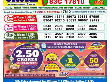 Dear Lottery Chart 2024