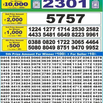 Dear Lottery Chart 2024
