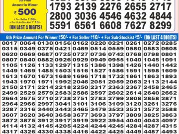 Dear Lottery Chart 2024