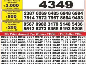 Dear Lottery Chart 2024