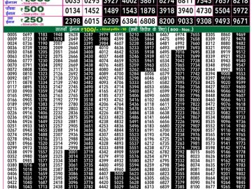 Dear Lottery Chart 2024