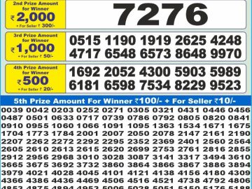 Dear Lottery Chart 2024