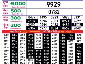 Dear Lottery Chart 2024