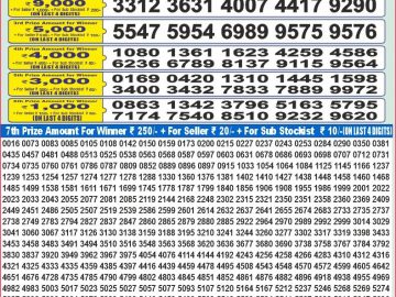Dear Lottery Chart 2024